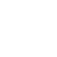 Intelligence Advanced Research Projects Activity